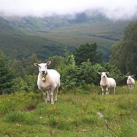 Ved Sjoen Og Fjellene