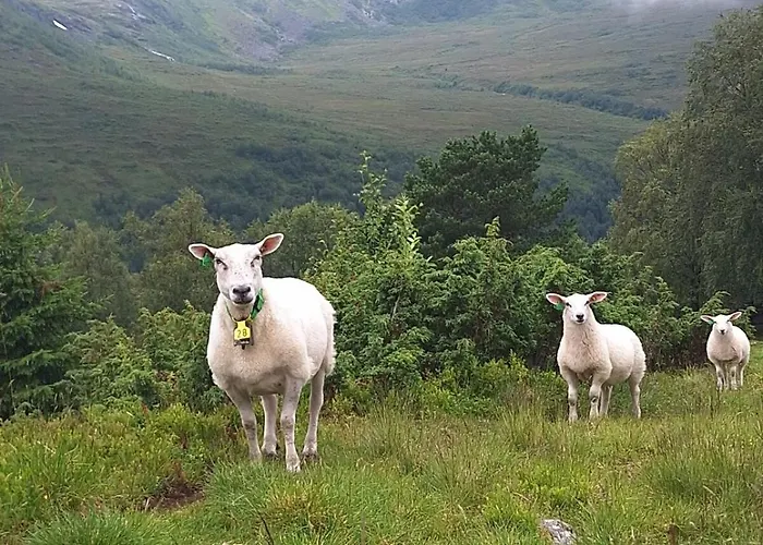 Ved Sjoen Og Fjellene